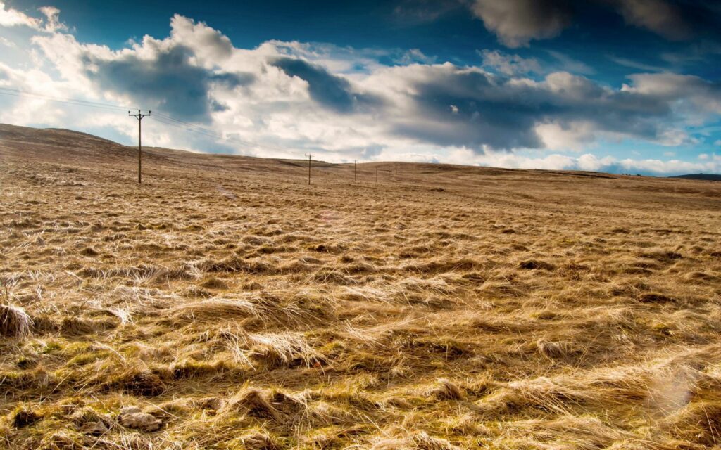 Golden hay field under dramatic cloudy sky with wooden utility poles and rural landscape wallpaper