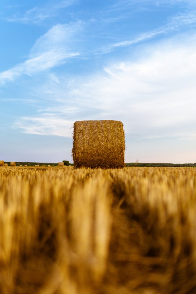 Large golden haystack in sunlit wheat field under blue sky with wispy clouds rural harvest scene Wallpaper