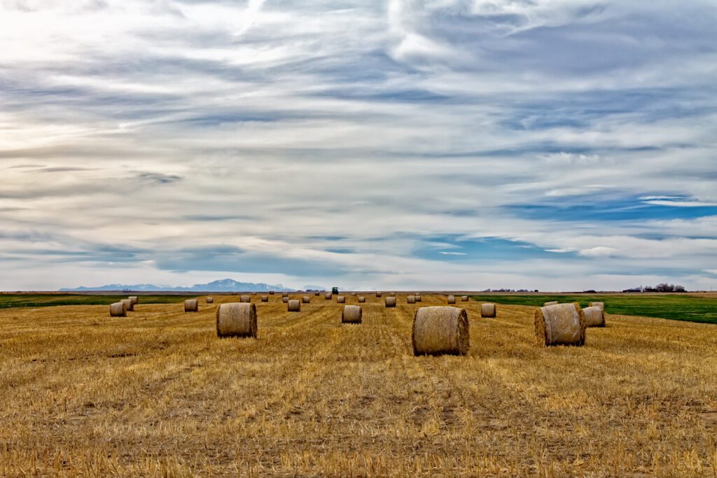 Vast rural field with golden haystacks green patches and dramatic swirling clouds landscape wallpaper