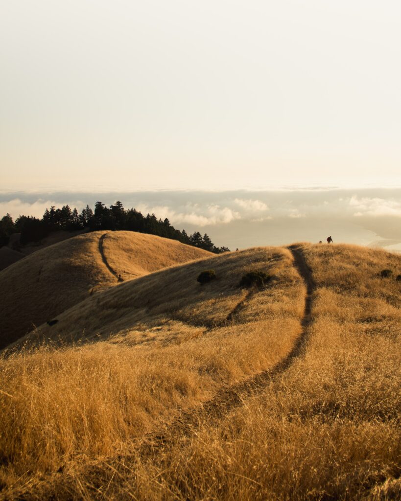 Golden hills and mountains with winding path under soft sunlight and expansive serene sky wallpaper