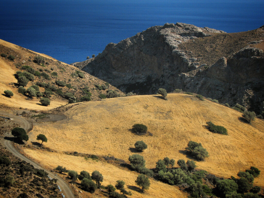 Golden hills with trees winding dirt road rugged cliffs overlooking deep blue sea landscape wallpaper