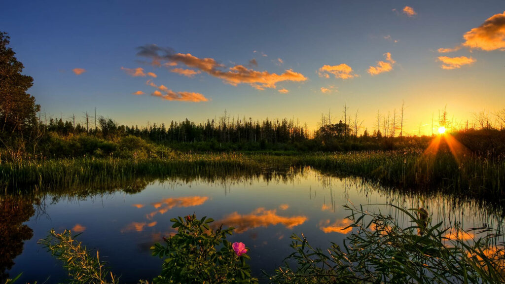 Serene Waters: Captivating HD Nature Background with Cloudy Sky and Golden Sunset Wallpaper