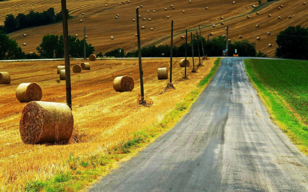 Rustic Charm: Scenic Country Road Amidst a Vast Field of Haystacks and Autumnal Ambiance Wallpaper