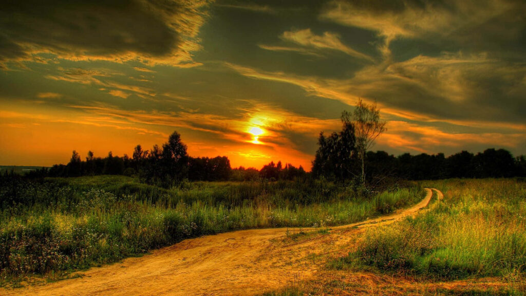 Sun-kissed Serenade: Stunning German Countryside Road Wallpaper