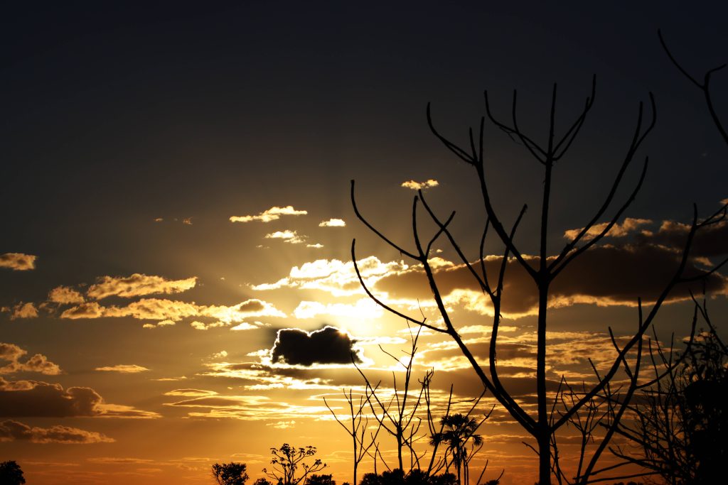 Golden hour sunset with glowing clouds and silhouetted leafless trees in dramatic sky Wallpaper