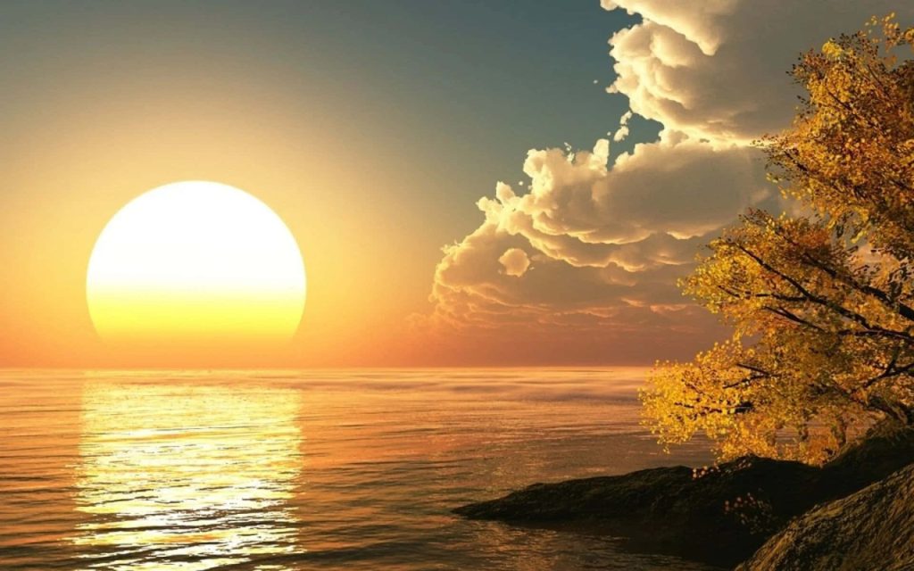 Golden sun over calm ocean and yellow leaf tree on rocky shore serene wallpaper background