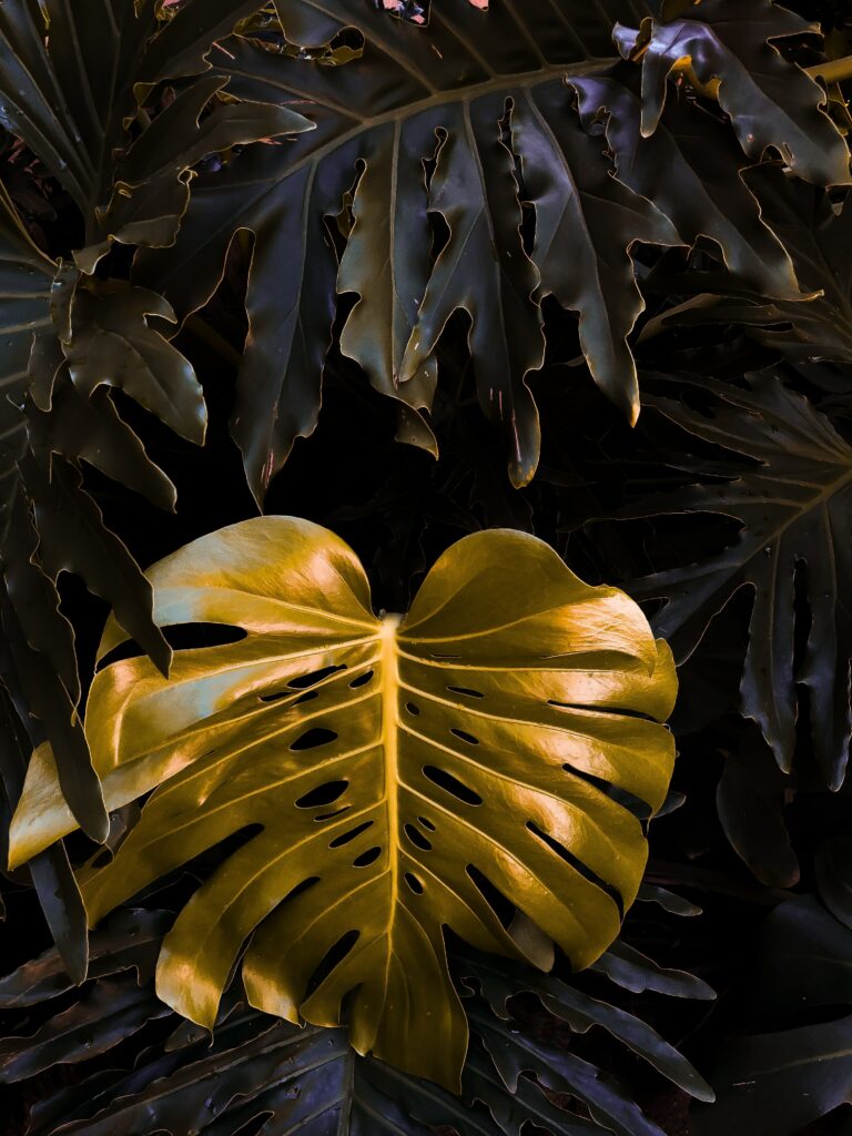 Golden plant leaf wallpaper with metallic hues on dark green botanical background design