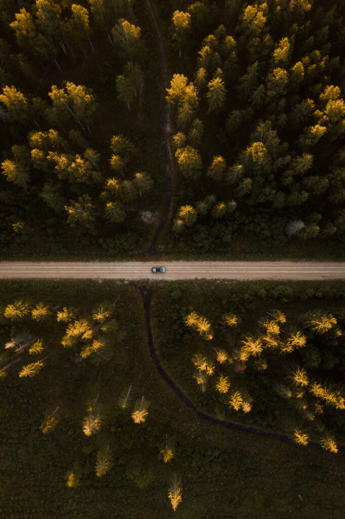 Aerial view of car on straight road through dense forest illuminated by golden sunlight wallpaper
