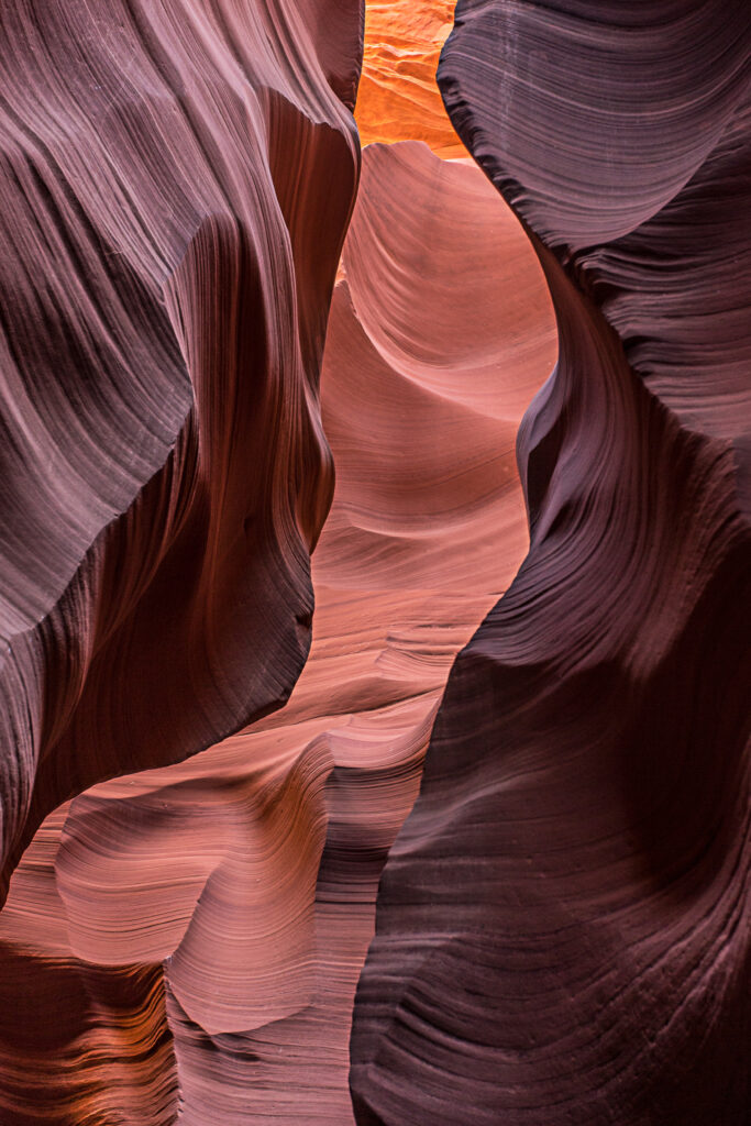 Winding canyon walls with smooth sculpted stone in warm golden light showcasing textured rock Wallpaper