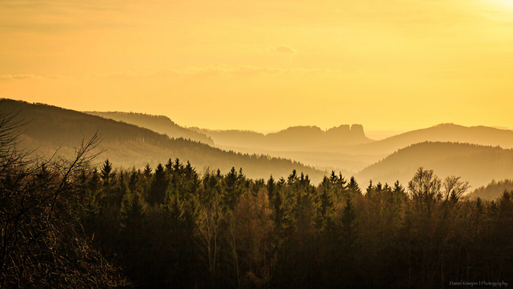 Serene forest landscape with dark green trees and golden light misty mountains wallpaper background