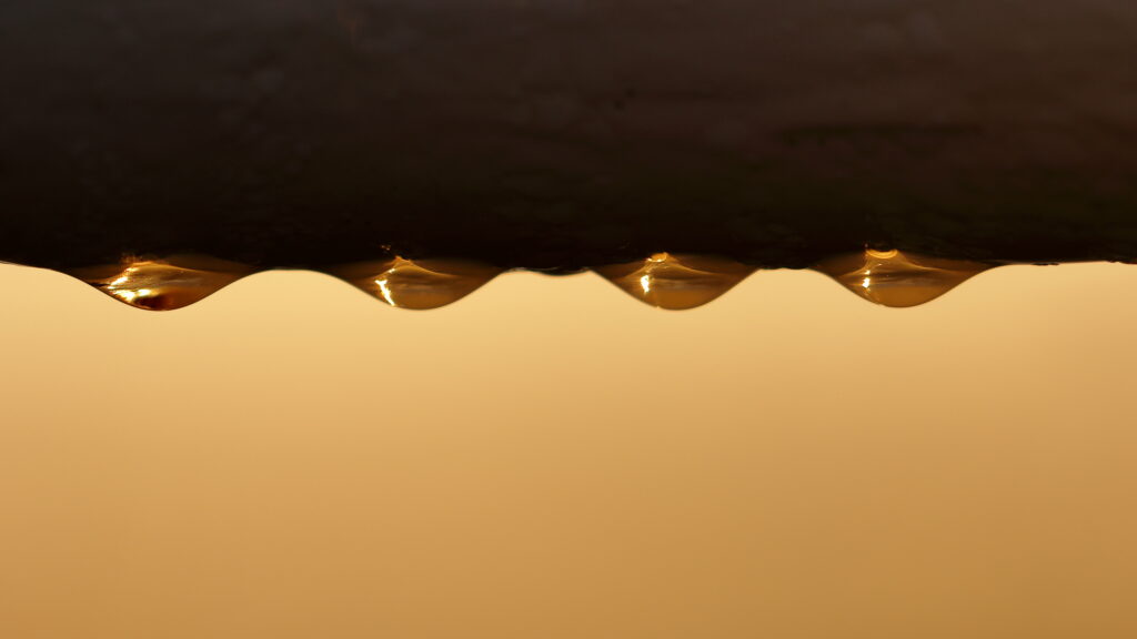Macro Water Droplets on Surface: Warm Golden Light Wallpaper
