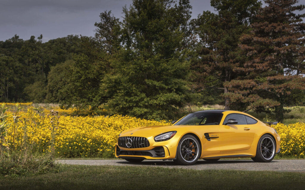 Stunning Mercedes-AMG GT Wallpaper in Serene Countryside Setting