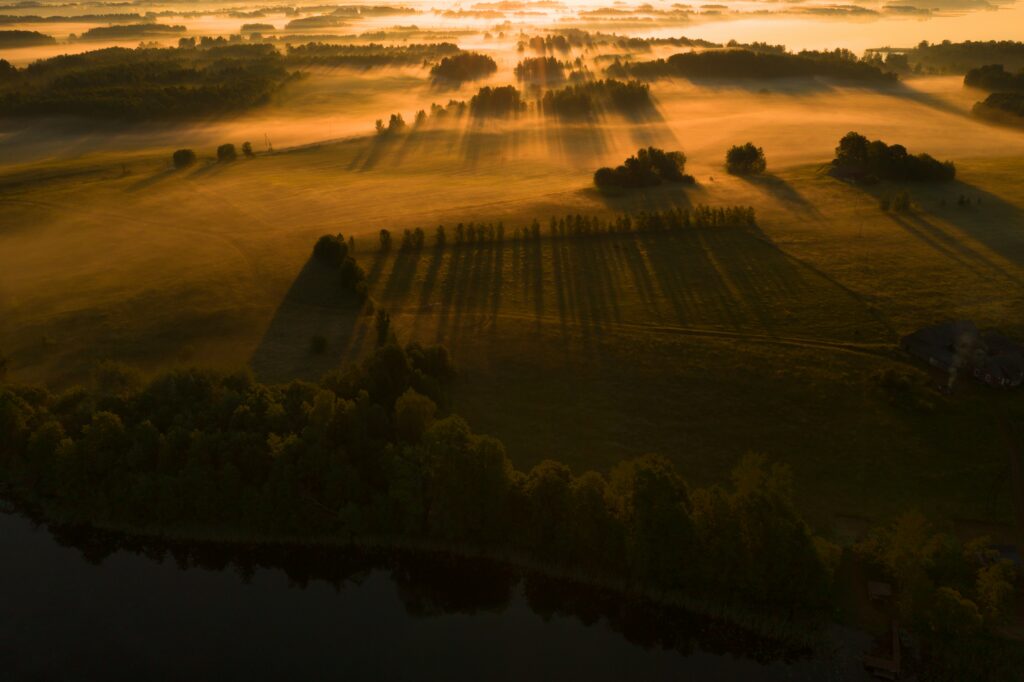 Golden sunlight filters through trees casting shadows on misty grassy field at peaceful sunrise Wallpaper