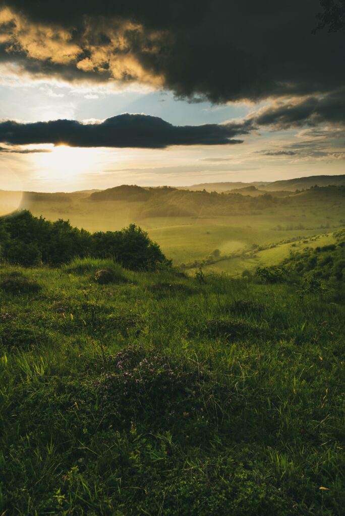 Golden sunlight piercing clouds over lush green field with bushes and rolling hills landscape Wallpaper