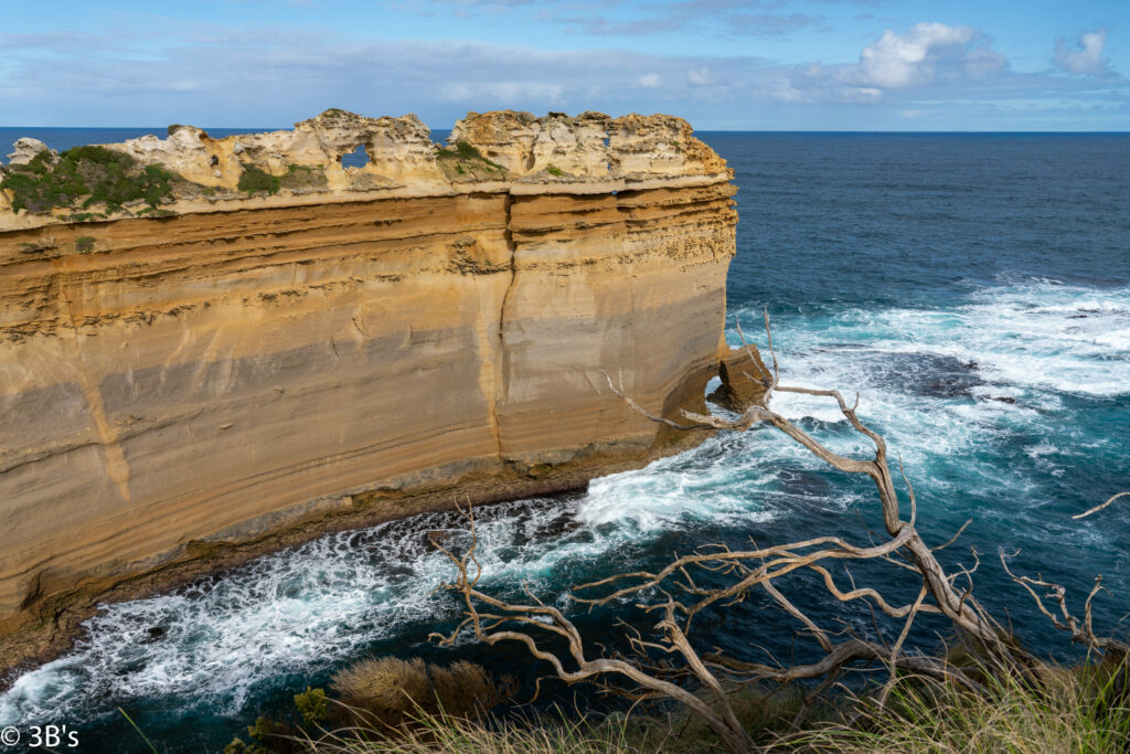 Golden rock formation towering over deep blue sea with white foam and twisted branch foreground Wallpaper