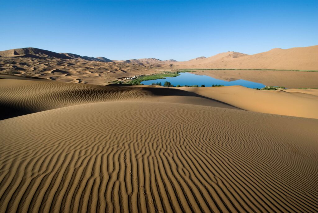 Golden sand dunes with ripple patterns beside a blue lake and green vegetation under clear sky Wallpaper