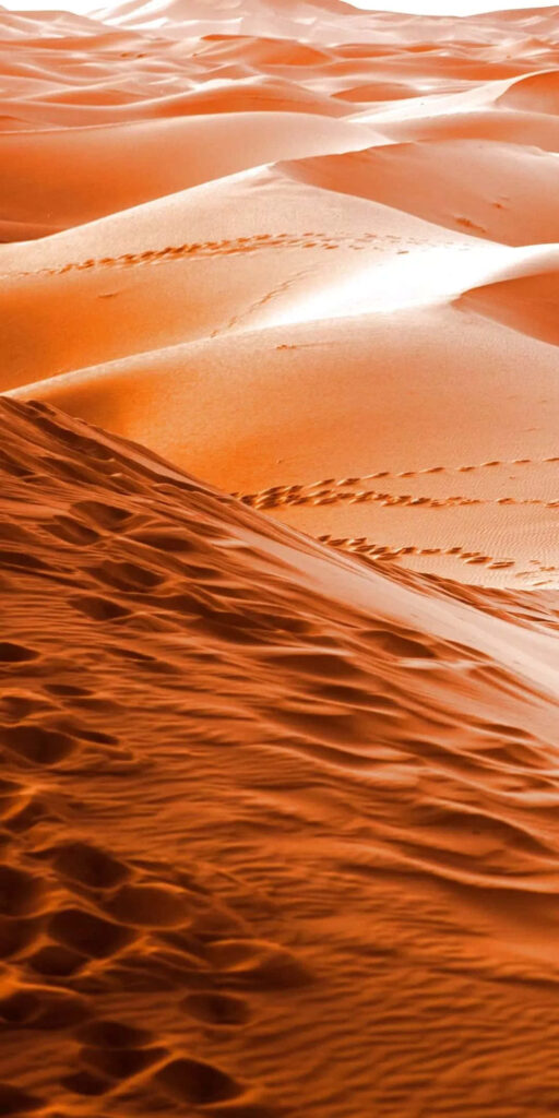 Stunning Desert Wallpaper: Golden Sand Dunes & Warm Sunlight