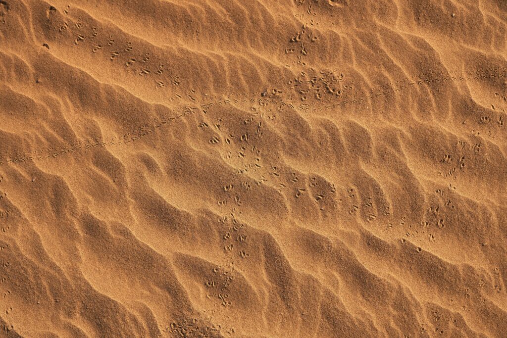 Golden sand ripples with delicate footprints on beach desert blend warm earthy tones wallpaper background