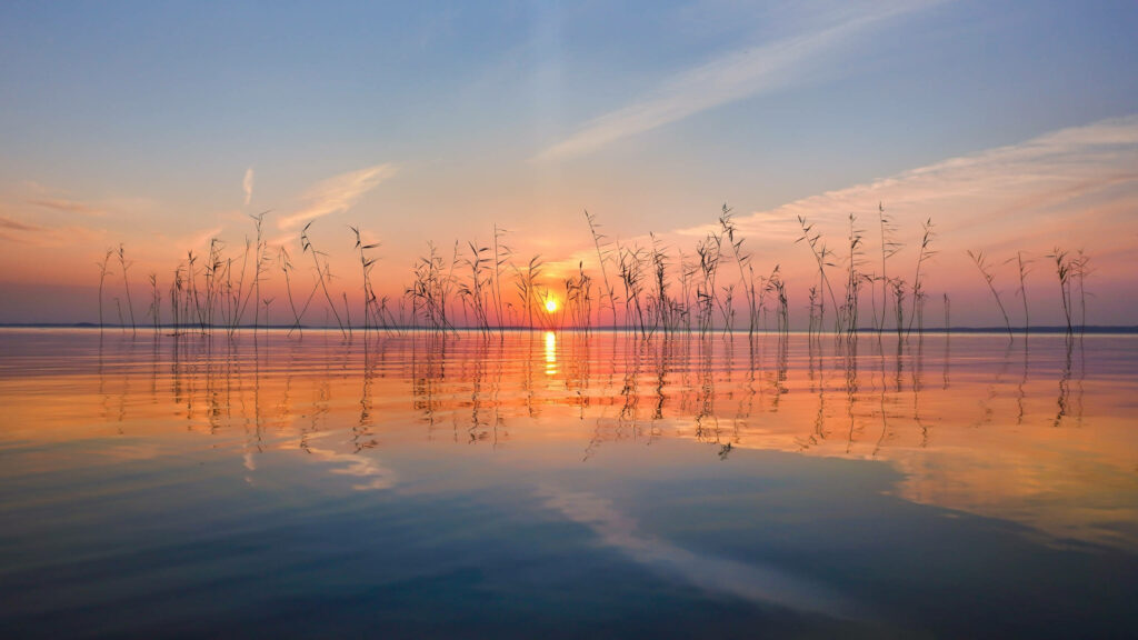 Golden Sunset Splendor: Finland's Enchanting Lake in Panoramic 2560x1440 Nature Wallpaper