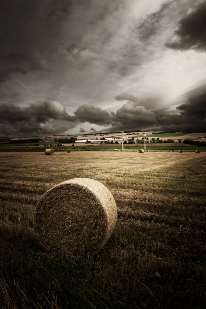 Golden straw bales in open field with tall grasses under dark moody sky countryside wallpaper background