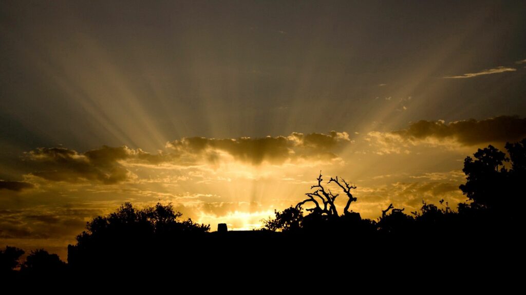 Golden sunlight beams through dramatic clouds over silhouetted trees creating serene warm sky Wallpaper