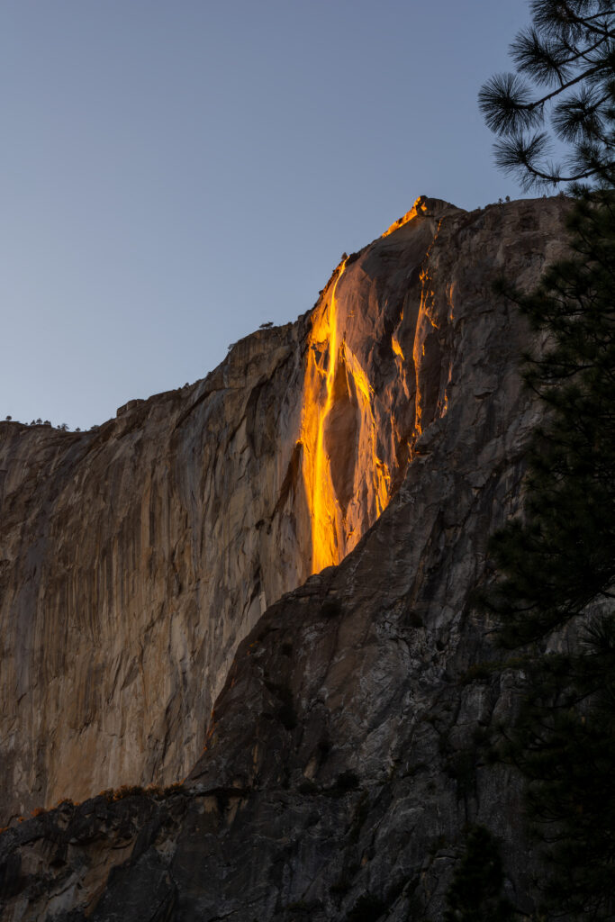 Golden sunlight illuminates towering rocks framed by delicate tree branches warm nature wallpaper