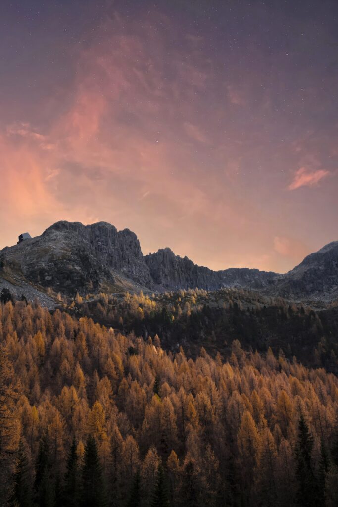 Golden sunlight illuminates autumn forest below rugged mountains at sunset with purple pink sky Wallpaper