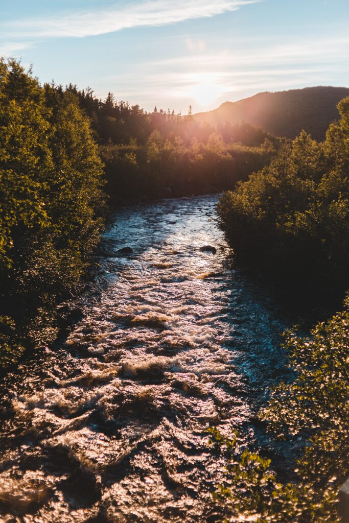 Golden sunlight over flowing river with lush green bushes reflecting serene nature scene Wallpaper