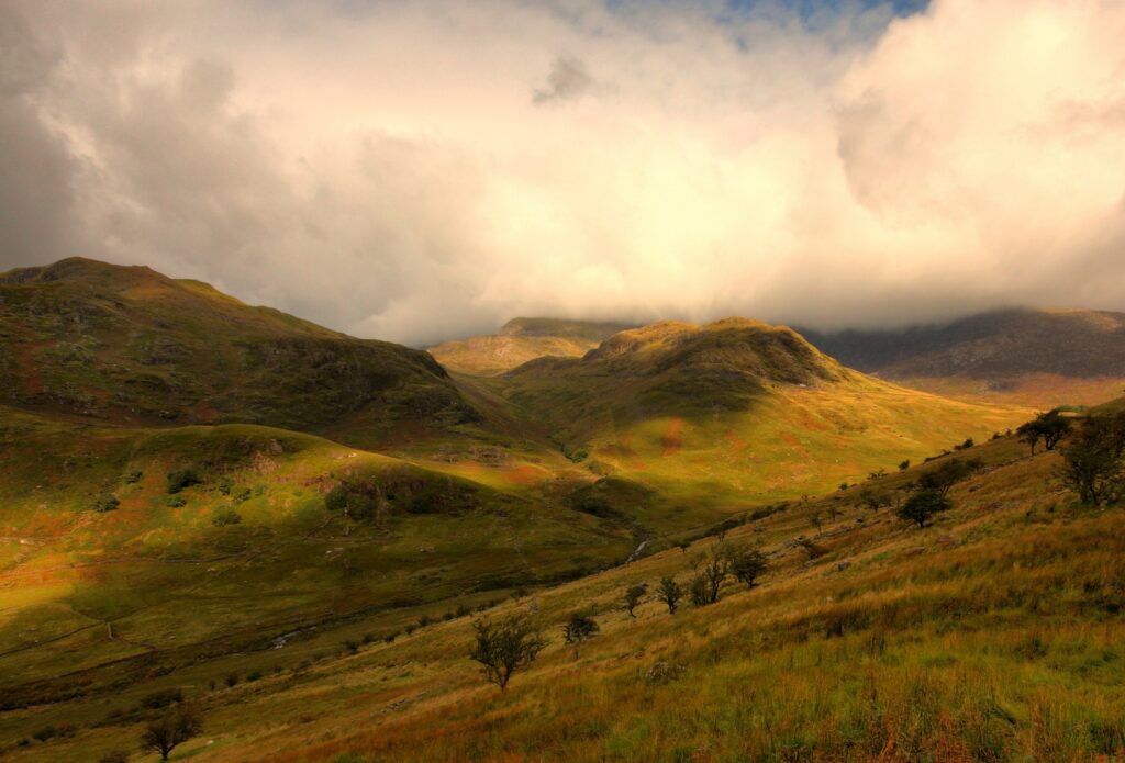 Golden sunlight through clouds lighting rolling green mountains and sparse trees landscape wallpaper
