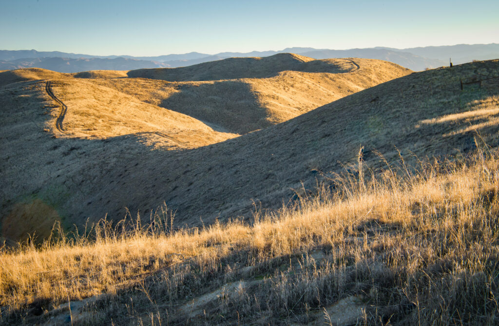 Golden sunlight on rolling hills and winding path with dry grass and distant blue mountains Wallpaper