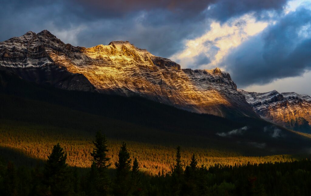 Golden sunlight on rugged mountain peaks and dense forest with dramatic shadows and vivid colors Wallpaper