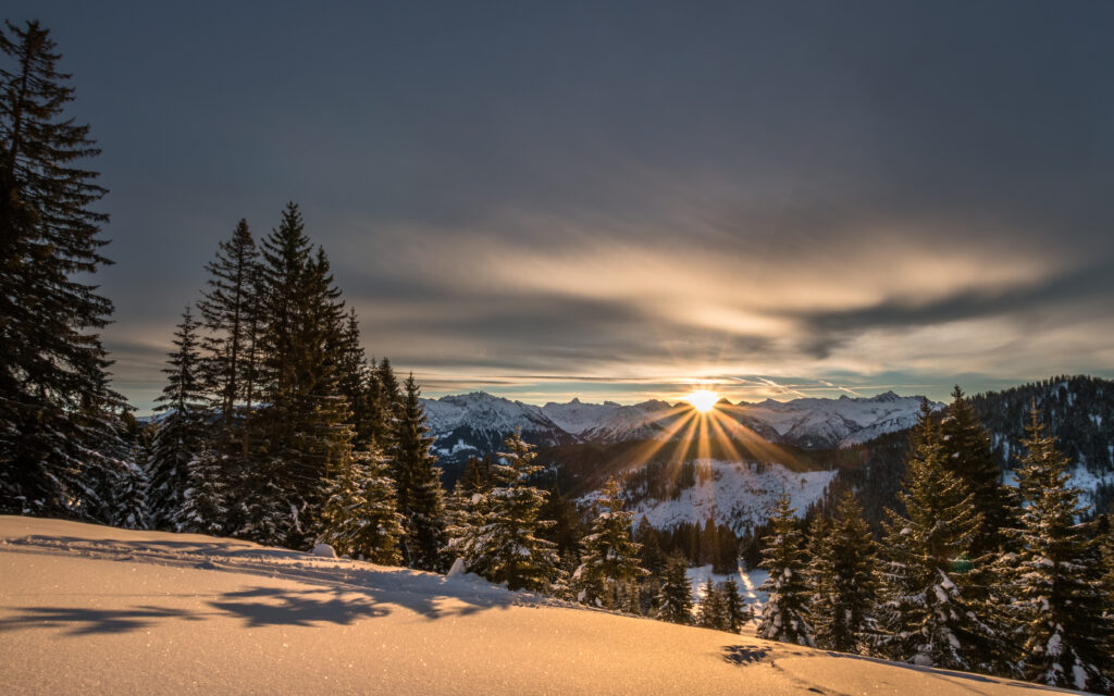 Golden sunlight over snow-covered alpine mountains and frosted fir trees winter landscape wallpaper