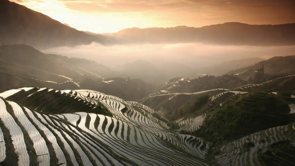 Golden sunlight illuminates terraced rice fields and soft fog drifts through lush mountain valleys Wallpaper