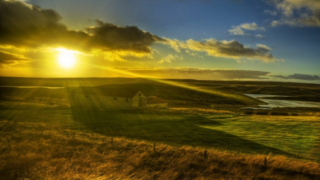 Golden sunlit meadow with rustic shed vibrant green fields peaceful countryside scene wallpaper