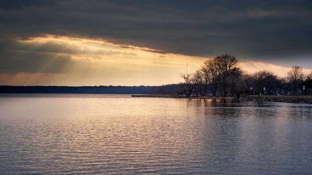 Golden sunlight breaks through clouds over calm sea with bare trees along tranquil shoreline Wallpaper
