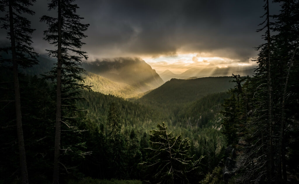 Sunlight beams through clouds over misty mountains highlighting lush green forest landscape Wallpaper