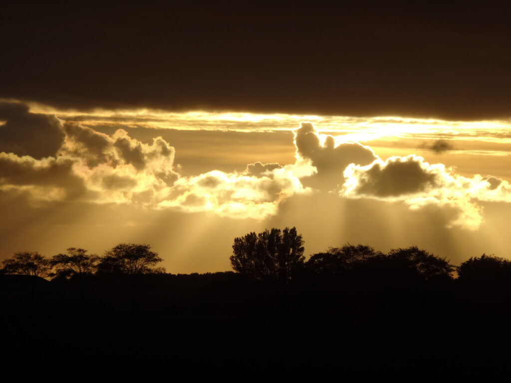 Sunset with golden sunlight bursting through clouds over silhouetted trees serene landscape Wallpaper