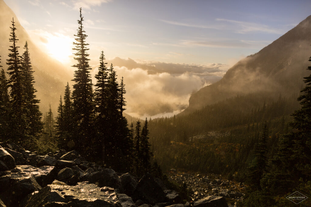 Golden sunlight shines through evergreen trees over misty mountains and rocky forest landscape Wallpaper