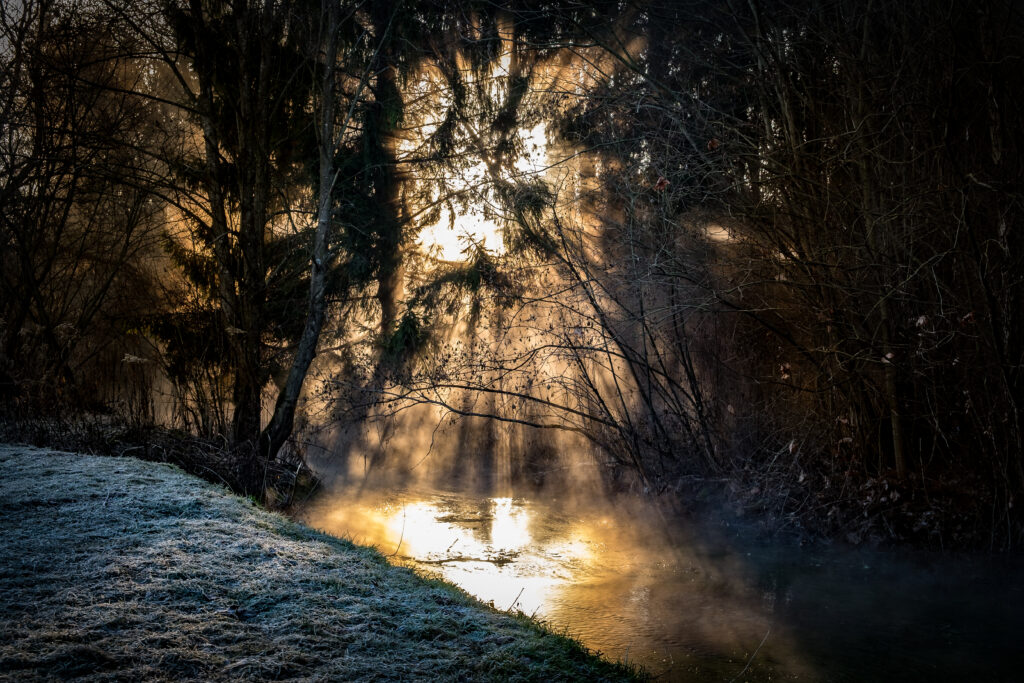 Sunlight streaming through dense forest trees over a tranquil river with mist and shadows Wallpaper