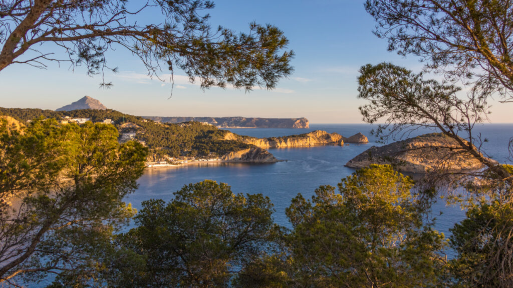 Golden sunlight through pine frames serene blue sea rugged islands and lush coastal cliffs view Wallpaper