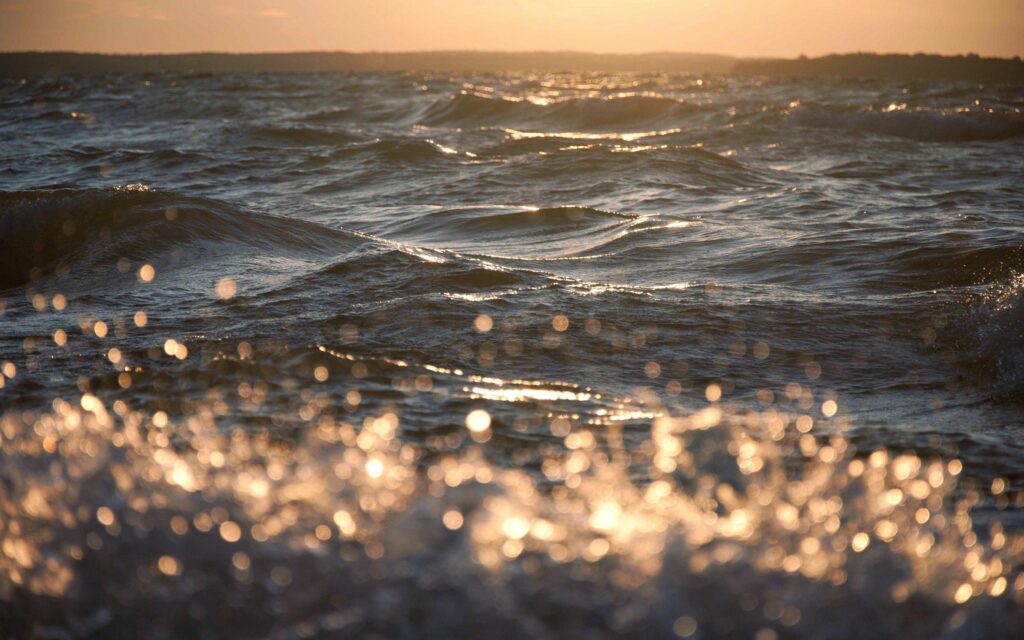 Golden sunlight on rippling sea waves with foam and bubbles serene coastal ocean wallpaper