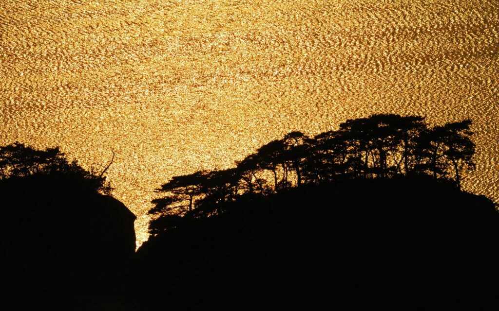 Golden sunlight shimmering on rippling water with dark windswept trees and rocky outcrops Wallpaper
