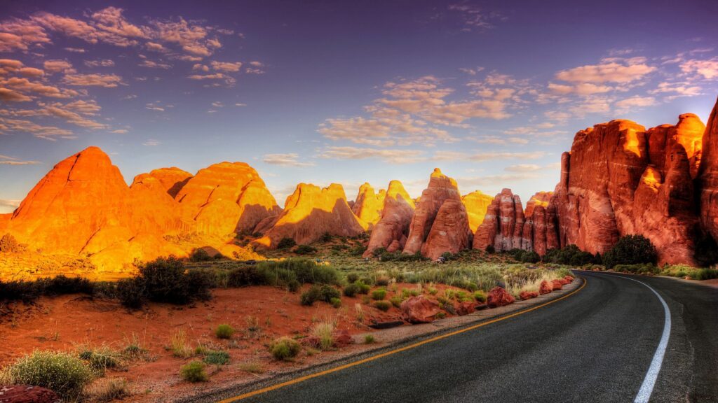 Winding asphalt road through red rock canyon with golden sunlight and vibrant desert plants Wallpaper