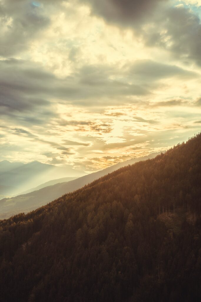 Forest mountain slope bathed in golden sunlight under a cloudy sky serene nature landscape wallpaper