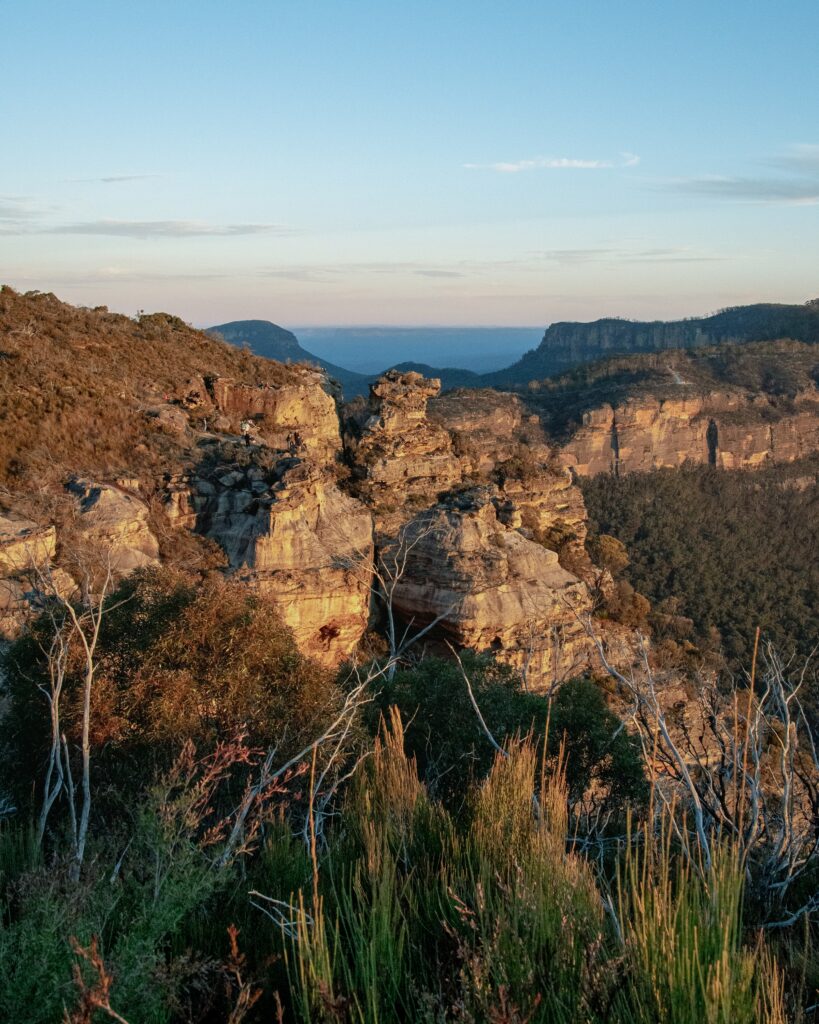 Majestic mountains and rugged rocks in golden sunlight with dense bushes and wild grass Wallpaper