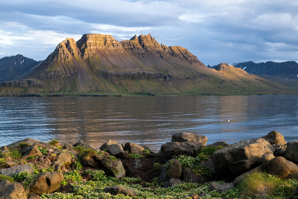 Rugged mountains in golden sunlight above calm sea with weathered stones and green plants wallpaper