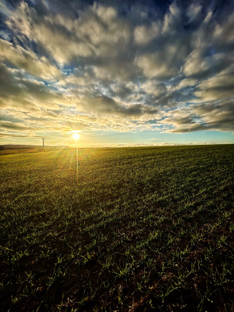 Sunrise over lush green field under dramatic cloudy sky peaceful natural landscape wallpaper