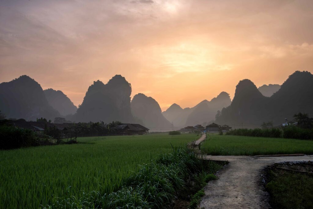 Winding path through green fields toward mountains at sunrise serene natural landscape wallpaper