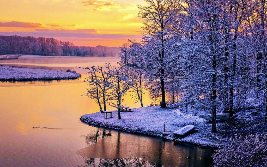 Serene winter sunrise over snow-covered lake with golden sky reflecting on calm water HD wallpaper