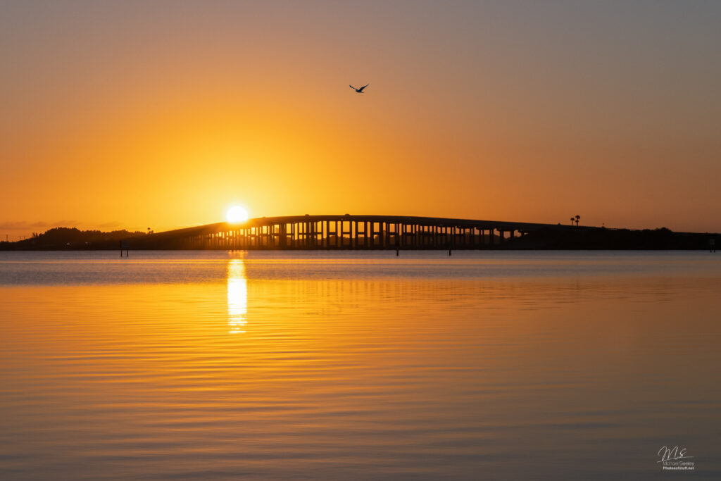 Serene sunset bridge over calm lake with golden reflections and a bird soaring peacefully wallpaper
